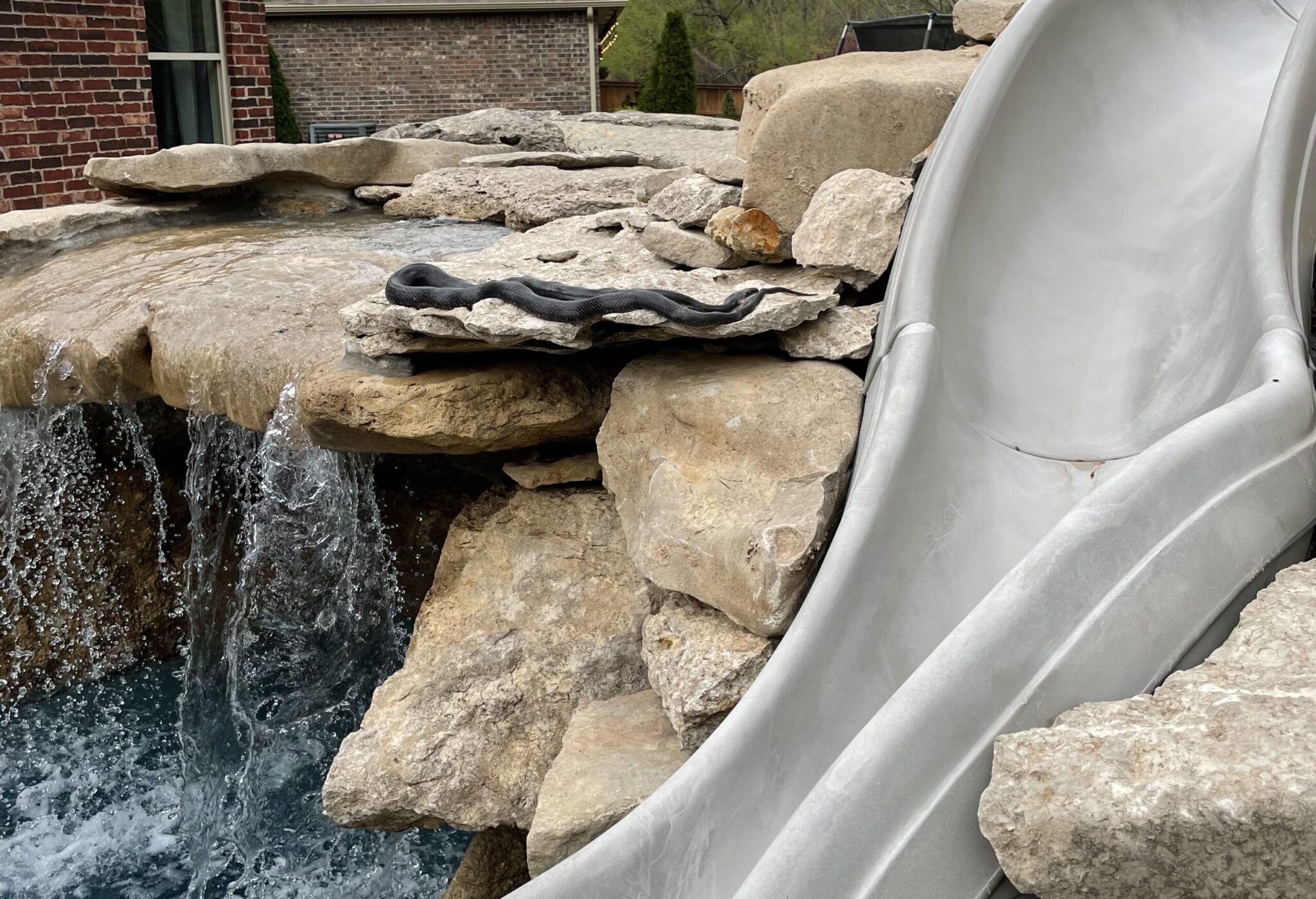 8 Effective Ways To Keep Snakes Out of Pool Pool Owners Academy