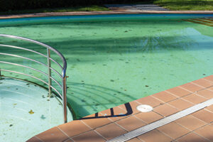 why are there black spots on the floor & walls of my pool