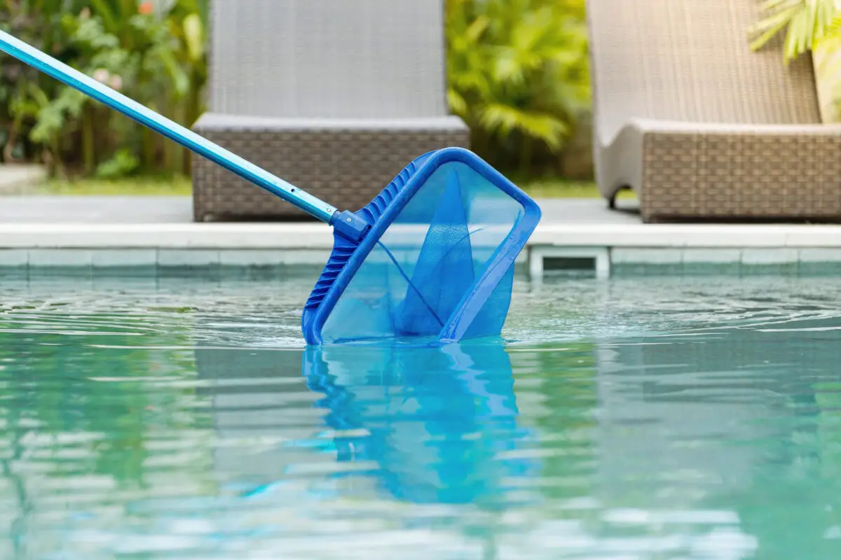 Top Pool Skimmers for Above Ground Pool