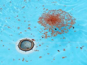 Reasons to Drain Your Pool