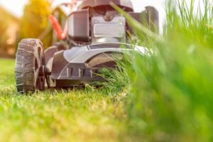 How to Keep Grass Out of Your Pool When You Are Mowing