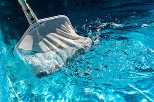 cleaning swimming pool to keep snakes out